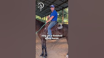 Quick Tip #1 To Become A Confident Rider! | The Horse Guru - Michael Gascon