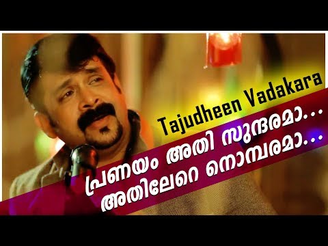 പ്രണയം അതി സുന്ദരമാ...അതിലേറെ നൊമ്പരമാ... | Hit Song Of Thajudeen | Romantic Album Song