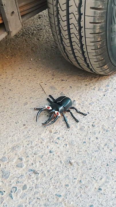 Tire vs Scorpion: Watch the Unexpected Smash!”