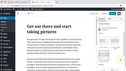 Single post options override - Opinion WordPress Theme