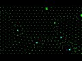 Particle Life Simulation - 2026-01-07 [1 Hour]