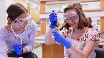 Research in Science & Engineering (RISE) - Internship/Practicum