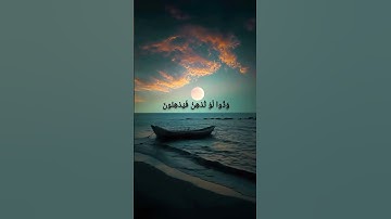 #سورة القلم بصوت اسلام صبحي ♥️#القرآن الكريم #سورة القلم