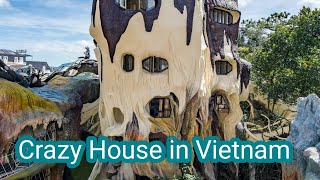 Hang Nga Guesthouse (Crazy house) Dalat, Vietnam