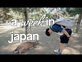 a week in osaka, kyoto, and nara (chill vlog)