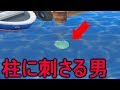 【とび森】カッペイのいる場所から海の柱に刺さるバグ！？