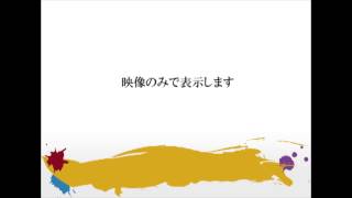 CS4 2911a
