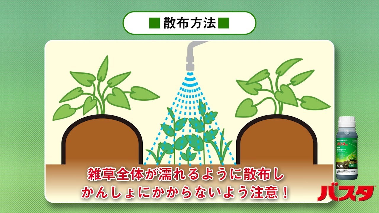 かんしょの畦間での使用法 Basf除草剤 バスタ