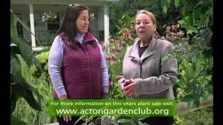 Garden Club Plant Sale Apr 2013