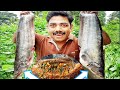 Village Food Channel | Village Cooking Channel | Village Fish Fry | Wildlife Cooking | Wilderness