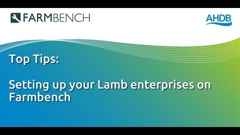FARMBENCH: Setting up your Lamb enterprises on Farmbench