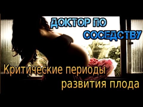КРИТИЧЕСКИЕ ПЕРИОДЫ РАЗВИТИЯ ПЛОДА / CRITICAL PERIODS OF FETAL DEVELOPMENT