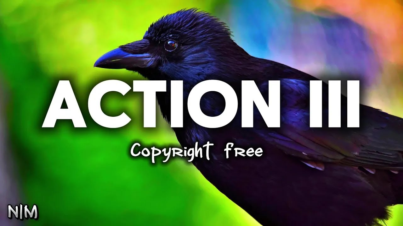 Action Copyright-Free Music | Exciting Wildlife Footage with Dynamic Beats