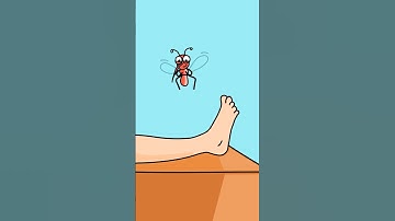 Mosquito Bite 🤣 | #animation #cartoon #funny