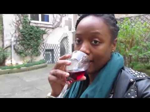 Mon voyage à Paris - My trip to Paris VLOG
