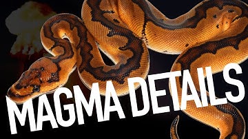 MAGMA TALK WITH AEP + PERSONAL DELIVERY!