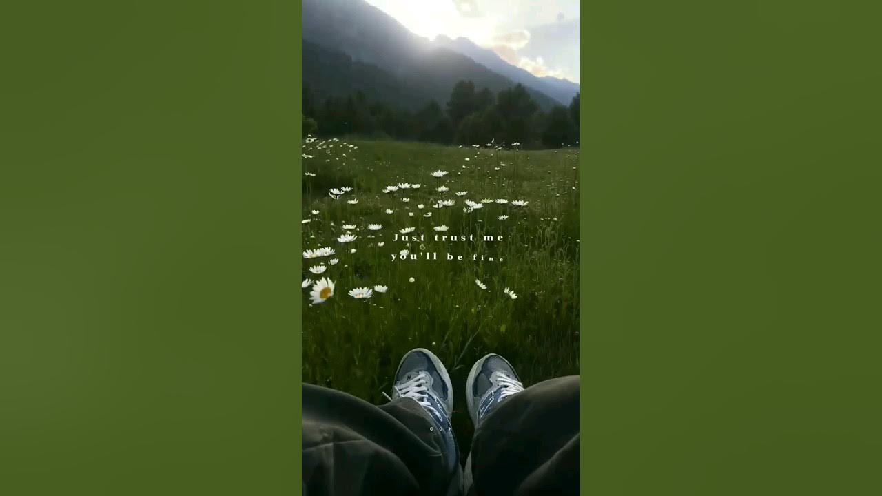 Djo - End of Beginning ♥️ #lyrics #endofbeginning #shorts Djo - End of Beginning ♥️ #lyrics #endofbeginning #shorts