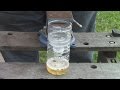 How To Build A Fruit Fly Trap