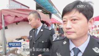 千里追逃【平安365  20160910】