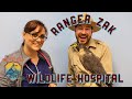 Birds of Prey | Ranger Zak Educational Videos For Kids