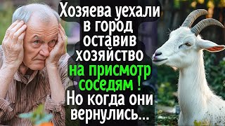 Хозяева уехали в город, оставив своё хозяйство под присмотр ушлых соседей  А когда они вернулись