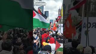 Download Lagu Palestine Still Finds Strength in Unity 🤝 MP3