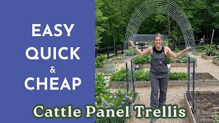 DIY Tutorial: Cattle Panel Trellis for Vertical Gardening | Best Support for Climbing Vegetables