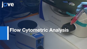 Flow Cytometric Analysis of Isolated Gamma Delta T cells | Protocol Preview