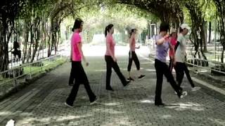 Tango Pa&#39;Bailar - Line Dance (Beginner)(Jose Maria Tome)