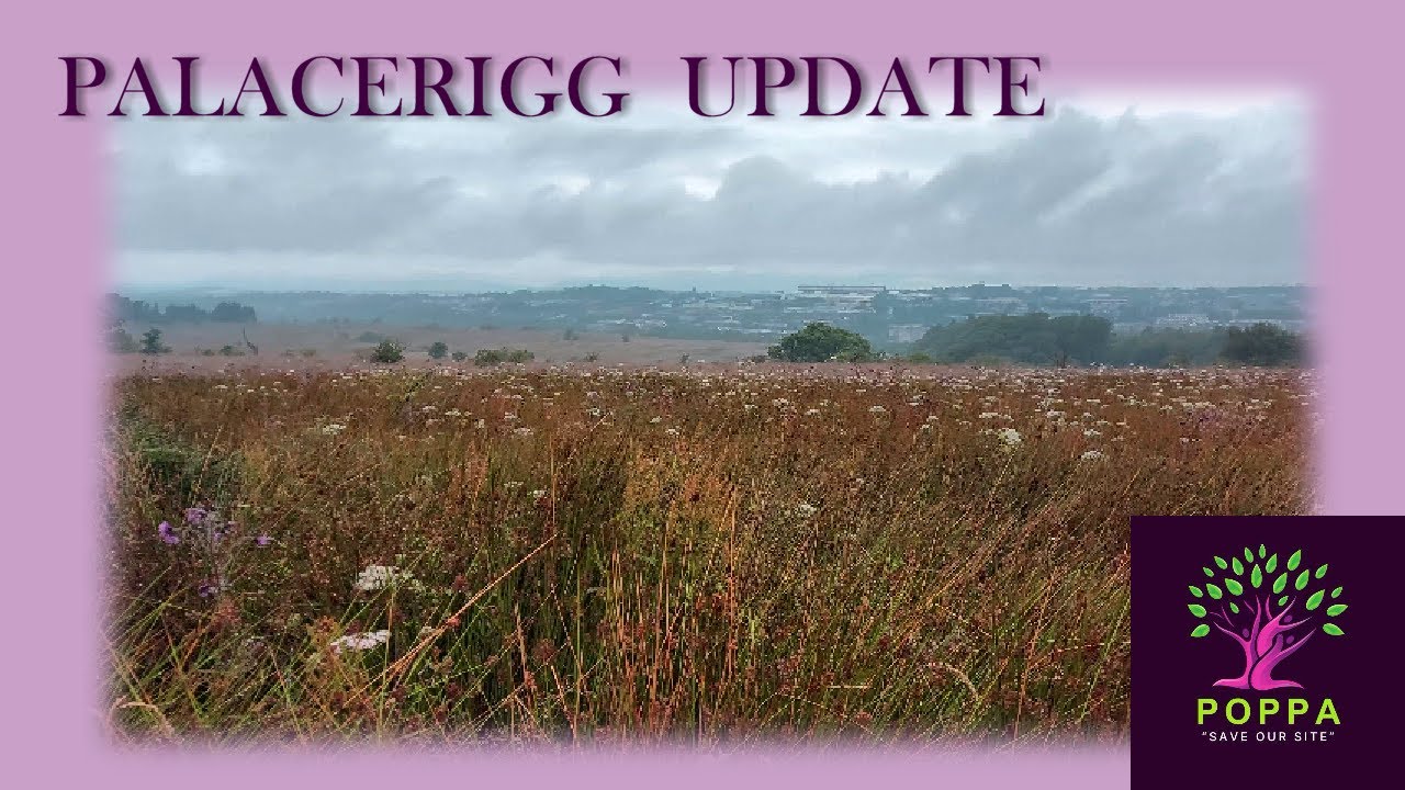 POPPA: Environmental campaign update JULY 2024 #environment #scotland