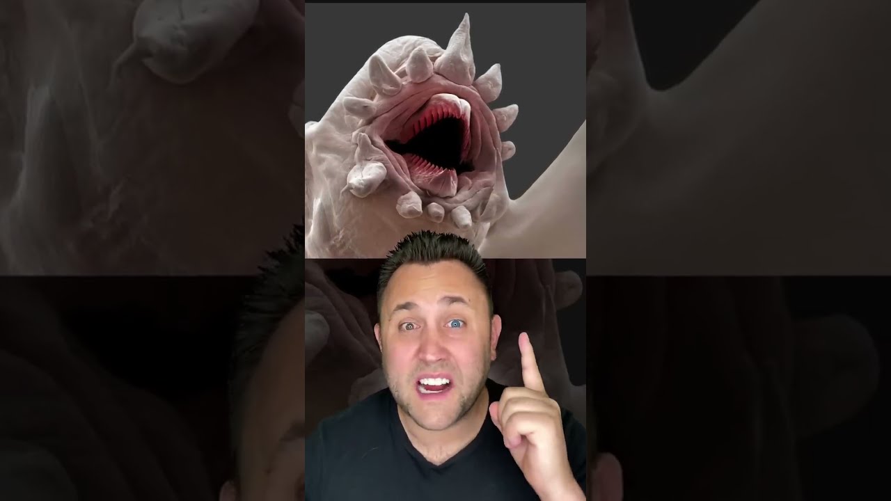 WHAT THINGS ACTUALLY LOOK LIKE UNDER A MICROSCOPE