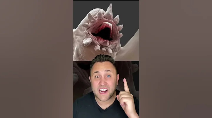 WHAT THINGS ACTUALLY LOOK LIKE UNDER A MICROSCOPE