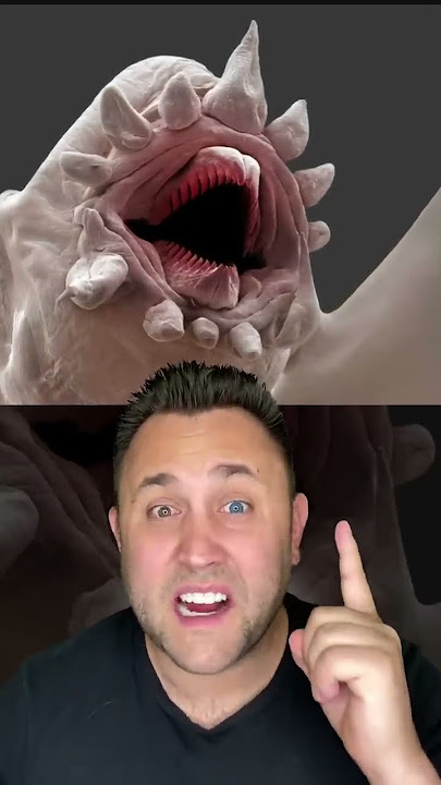 WHAT THINGS ACTUALLY LOOK LIKE UNDER A MICROSCOPE