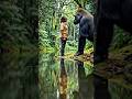 "The Silent Bond: Woman and Gorilla in Nature" #ecoviralworld   #usa #animals #shorts