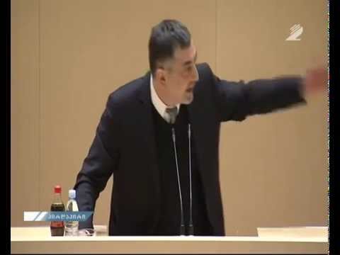 სერგო რატიანი პარლამენტის პლენარულ სხდომაზე განათლების შესახებ