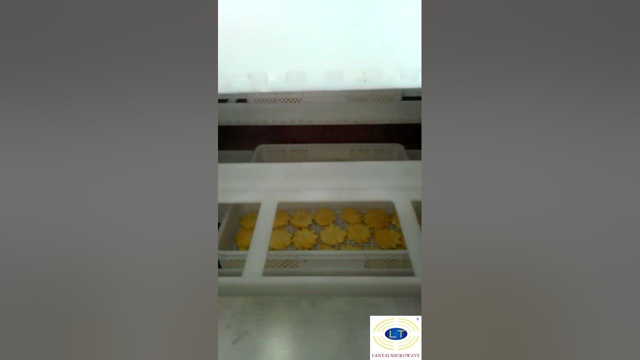 Pineapple drying by Lantai microwave vacuum dynamic lowtemperature