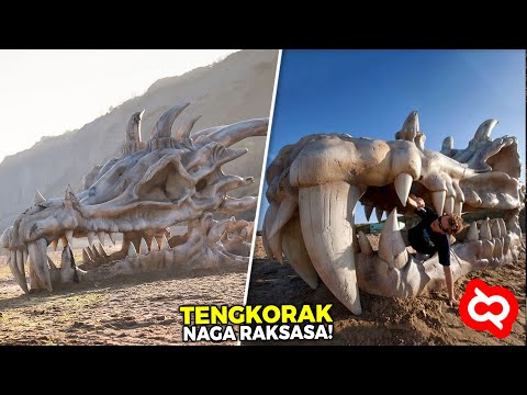 Video: Seorang Ahli Paleontologi Cina Mengatakan Bahawa Seekor Naga Mempunyai Persamaan Dengan Dinosaur - - Pandangan Alternatif