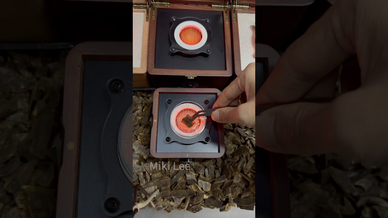 New Subitism burner by my team, smaller, China-only, patent owned by us. 