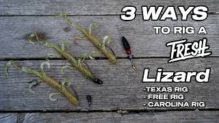 How to Rig a Lizard Bait for Bass | Texas Rig, Free Rig & Carolina Rig