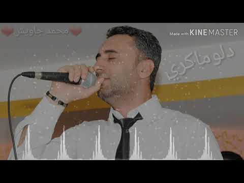 حالات واتس محمد جاويش دلو ماكري 