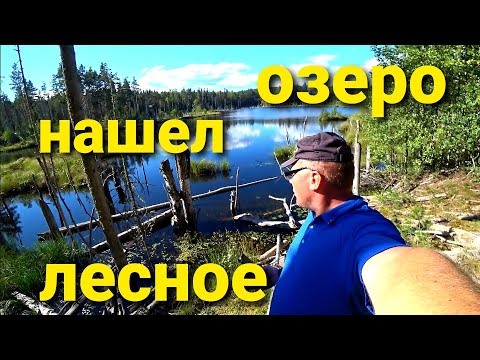 Нашел в тайге дикое лесное озеро,  прямо на острове , остров Тимонсаари .