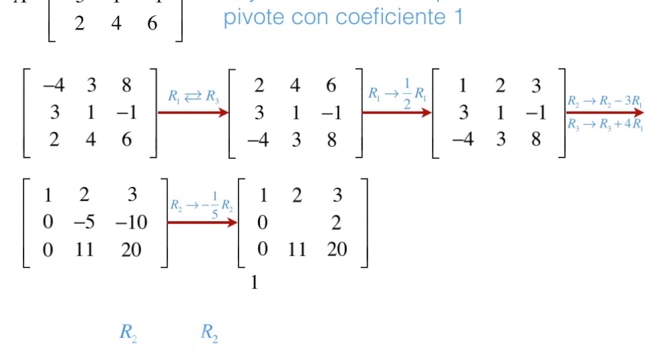 Reducir matrices a la forma escalonada Outlet