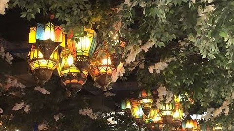 “17 Tahun Menuju Kesepakatan: Kisah di Balik Perjanjian Ekstradisi Indonesia–Singapura”