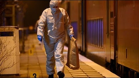 Brokstedt: Deaths after attack on train