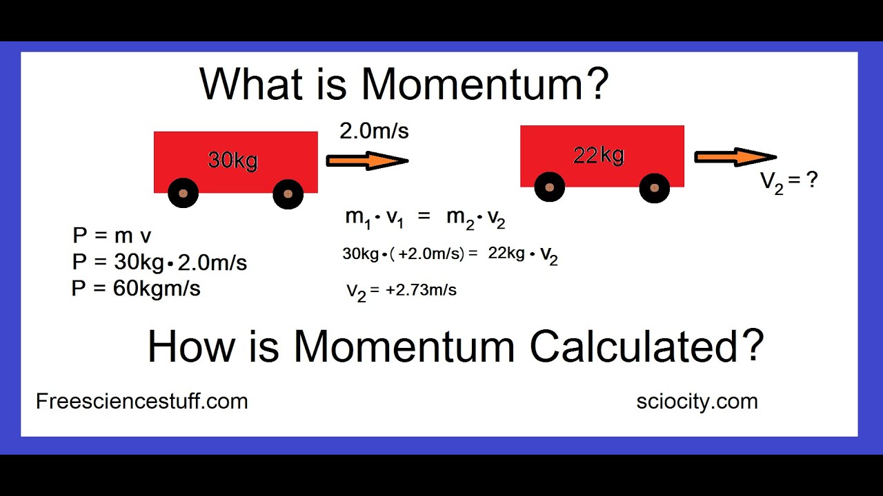 problem solving momentum physics