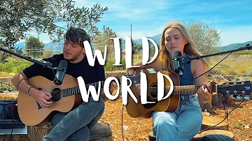 Wild World - Yusuf / Cat Stevens (Acoustic Cover by Jack & Daisy)