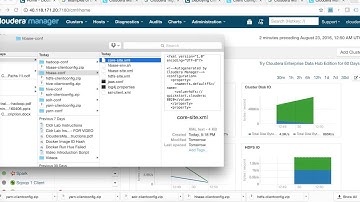 Cloudera QuickStart - Downloading Client Configuration Files - Part 4