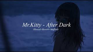 Mr.Kitty - After Dark (Slowed+Reverb+Muffled) red desc