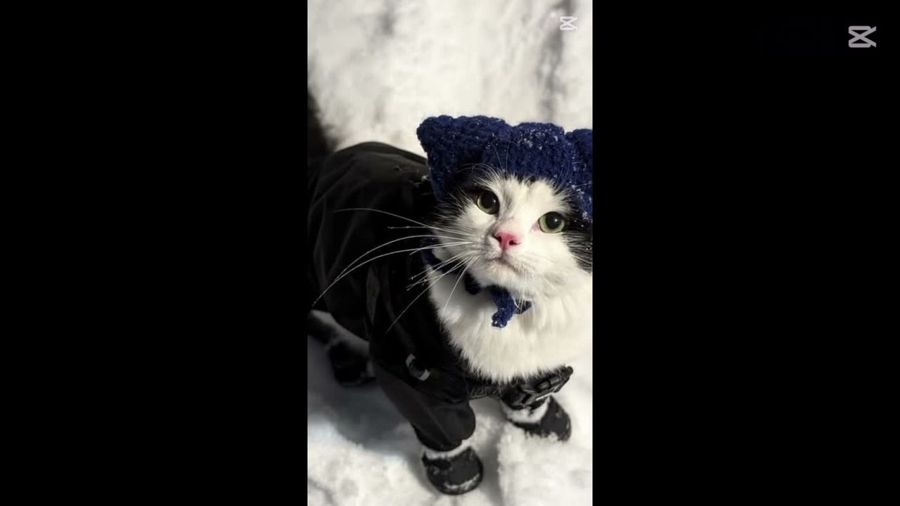 Onyx cover "jump" Sang by group:projectdreamz