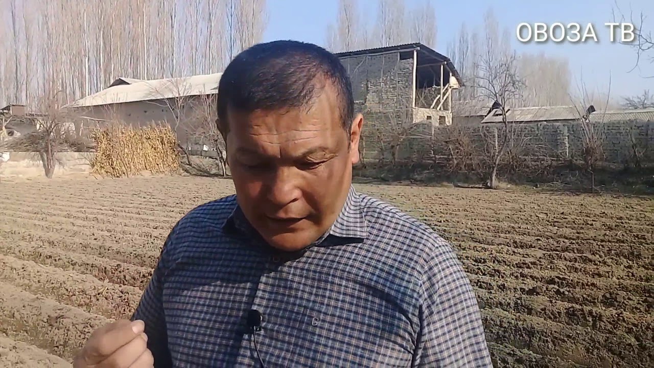 Бир гапим бор минг тилло!Дехкончилик Сирлари.